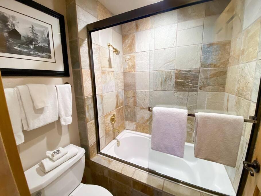 2 Bedroom Condominium - Luxury Skiin And Out Telluride Bagian luar foto